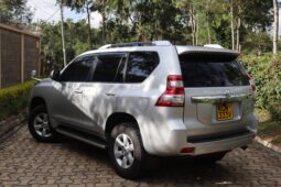 LAND CRUISER PRADO TX